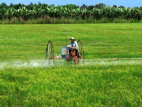 Nông nghiệp hữu cơ: Liên kết để thành công (24/8/2016)